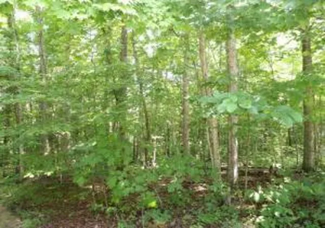 Photo 3 of Land for sale at Tract 1 Off Green Stable Lane Lane, Monticello, KY 42633 | MLS# 20117775 | Listing updated on 2026-09-16