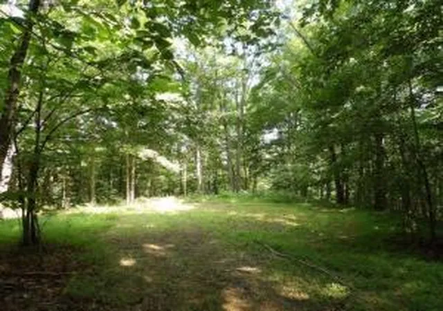 Photo 2 of Land for sale at Tract 1 Off Green Stable Lane Lane, Monticello, KY 42633 | MLS# 20117775 | Listing updated on 2026-09-16
