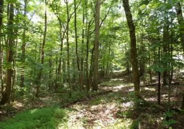 Photo 4 of Land for sale at Tract 1 Off Green Stable Lane Lane, Monticello, KY 42633 | MLS# 20117775 | Listing updated on 2026-09-16