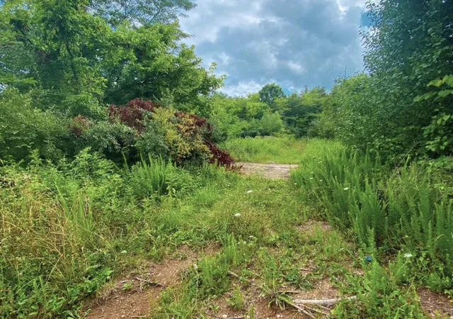 Homes for sale in Burnside, KY | 1105 Tateville Antioch Rd, Burnside, KY 42519 | MLS# 25001344