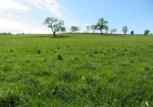 Photo 2 of Land for sale at 990 Craig Crossing Rd, Winchester, KY 40391 | MLS# 22004991 | Listing updated on 2026-03-03