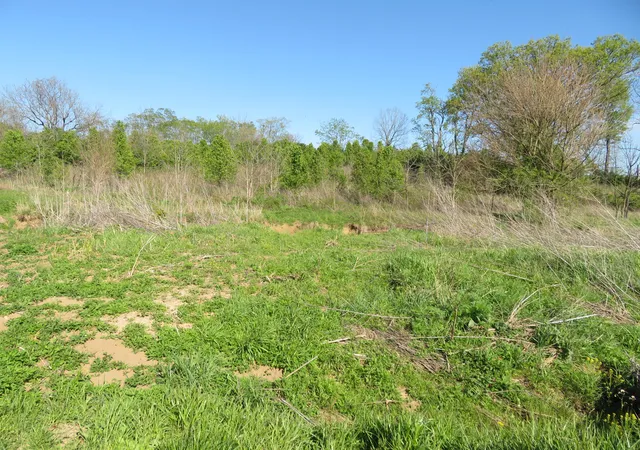 Photo 3 of Land for sale at 990 Craig Crossing Rd, Winchester, KY 40391 | MLS# 22004991 | Listing updated on 2026-03-03
