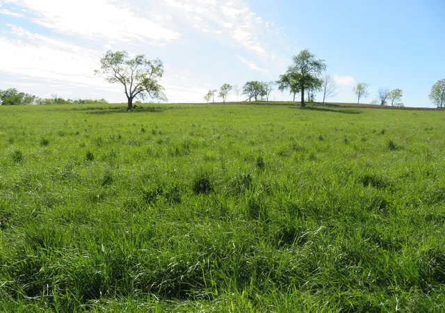 Photo 4 of Land for sale at 990 Craig Crossing Rd, Winchester, KY 40391 | MLS# 22004991 | Listing updated on 2026-03-03