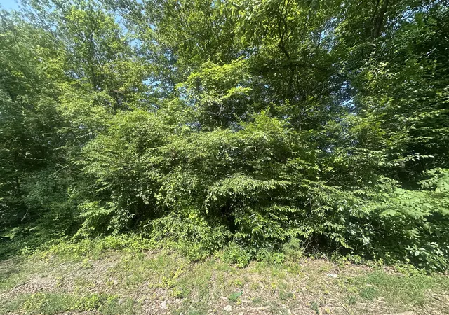 Homes for sale in Celina, TN | Lot 49 Rock Springs Rd, Celina, TN 38551 | MLS# 25014635