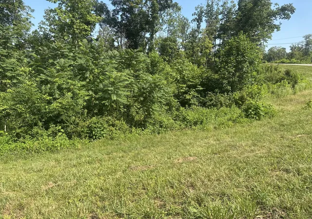 Homes for sale in Celina, TN | Lot 49 Rock Springs Rd, Celina, TN 38551 | MLS# 25014635