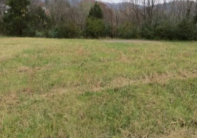 4th image of 954 Wilkinson, Frankfort, KY 40601 | MLS# 20117684