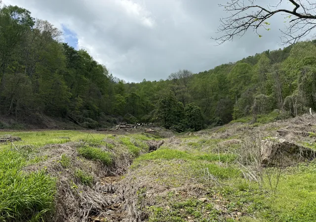 Homes for sale in Walker, KY | 460 Bailey Branch Rd, Walker, KY 40997 | MLS# 25008595