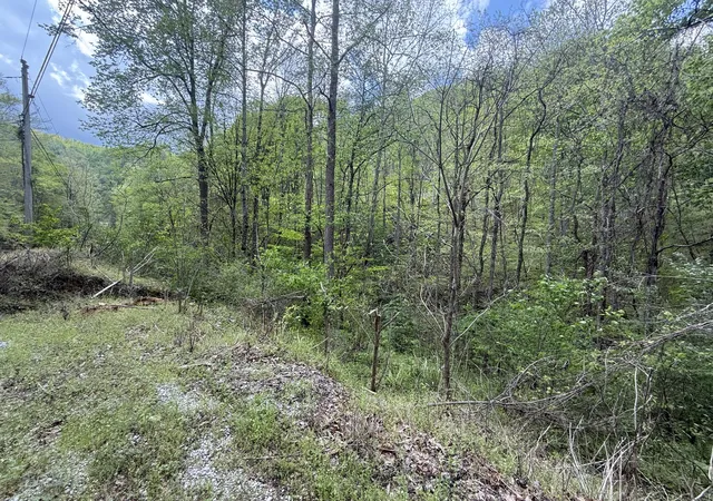 Homes for sale in Walker, KY | 460 Bailey Branch Rd, Walker, KY 40997 | MLS# 25008595