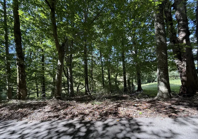 Photo 2 of Land for sale at 10400 Ky 39, Somerset, KY 42503 | MLS# 25008613 | Listing updated on 2025-10-23