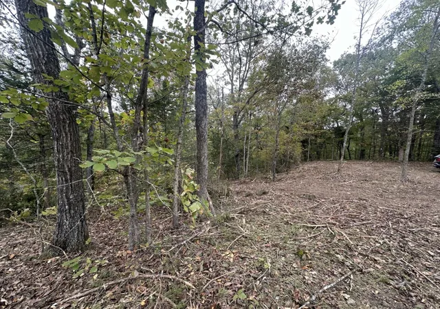 2nd image of 107 111 Dale Hollow Shores, Celina, TN 38551 | MLS# 25000376