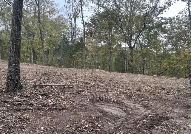 3rd image of 107-111 Dale Hollow Shores, Celina, TN 38551 | MLS# 25000376