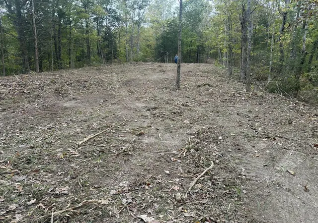 4th image of 107-111 Dale Hollow Shores, Celina, TN 38551 | MLS# 25000376
