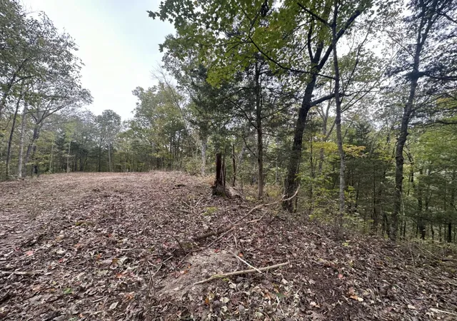 5th image of 107-111 Dale Hollow Shores, Celina, TN 38551 | MLS# 25000376