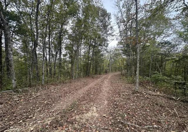 8th image of 107 111 Dale Hollow Shores, Celina, TN 38551 | MLS# 25000376