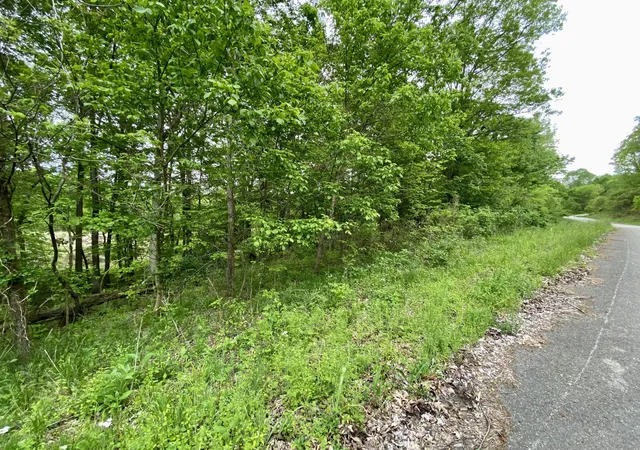 Photo 3 of Land for sale at 77 Lafayette Rd, Beaver Dam, KY 42320 | MLS# 23009251 | Listing updated on 2026-06-11