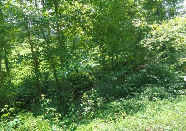 Photo 1 of Sale Pending at Lot 36 Cliffs Edge Rd, East Bernstadt, KY 40729 | MLS# 22023021 | Listing updated on 2026-10-13