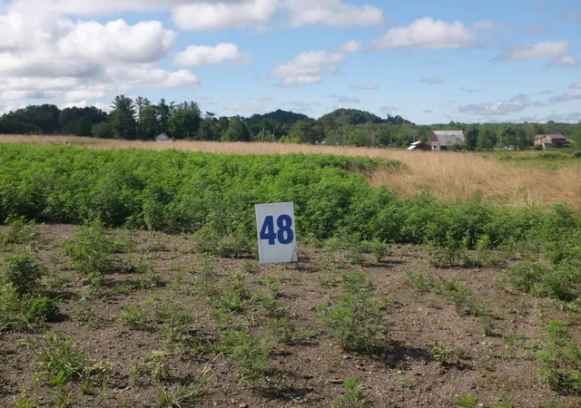 Photo 1 of Land for sale at 48 Bull Run, East Bernstadt, KY 40729 | MLS# 22015229 | Listing updated on 2026-10-22