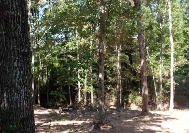 Photo 3 of Land for sale at 28 Cliff Line Dr, London, KY 40741 | MLS# 22015145 | Listing updated on 2025-09-26