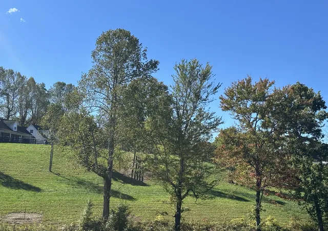 Photo 3 of Land for sale at 47 Ridgeline Dr, London, KY 40741 | MLS# 22015153 | Listing updated on 2026-10-13