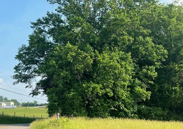 Photo 1 of Land for sale at (Undisclosed), Somerset, KY 42503 | MLS# 23009381 | Listing updated on 2025-10-08