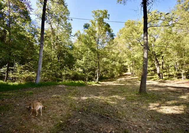 4th image of 1324 Barnetts Creek Rd, Hartford, KY 42347 | MLS# 23019157
