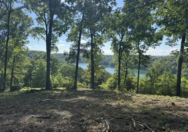 2nd image of 000 Litton Dr, Jamestown, KY 42629 | MLS# 24004893