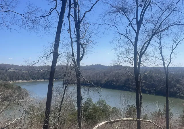 4th image of 000 Litton Dr, Jamestown, KY 42629 | MLS# 24004893