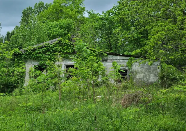 Photo 2 of Land for sale at 690 Adams Cemetery Rd, Liberty, KY 42539 | MLS# 24008121 | Listing updated on 2025-12-23