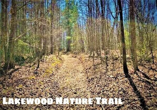 Photo 2 of Land for sale at Lot 29 Lakewood Subdivision, East Bernstadt, KY 40729 | MLS# 24003244 | Listing updated on 2026-10-13