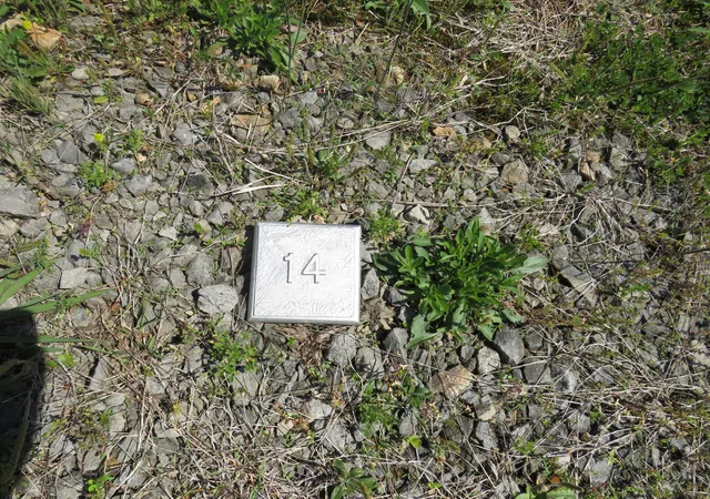 Photo 1 of Land for sale at 0000 Lot 14 Park Rdg, Russell Springs, KY 42642 | MLS# 24009681 | Listing updated on 2025-09-26