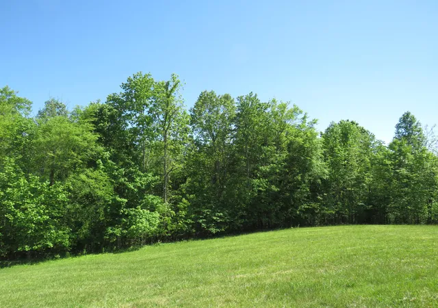 Photo 2 of Land for sale at 0000 Lot 14 Park Rdg, Russell Springs, KY 42642 | MLS# 24009681 | Listing updated on 2025-09-26