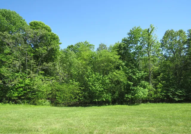 Photo 3 of Land for sale at 0000 Lot 14 Park Rdg, Russell Springs, KY 42642 | MLS# 24009681 | Listing updated on 2025-09-26