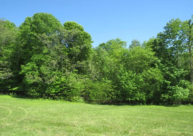 Photo 3 of Land for sale at 0000 Lot 14 Park Rdg, Russell Springs, KY 42642 | MLS# 24009681 | Listing updated on 2025-09-26