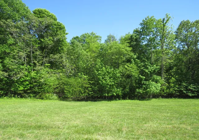 Photo 4 of Land for sale at 0000 Lot 14 Park Rdg, Russell Springs, KY 42642 | MLS# 24009681 | Listing updated on 2025-09-26