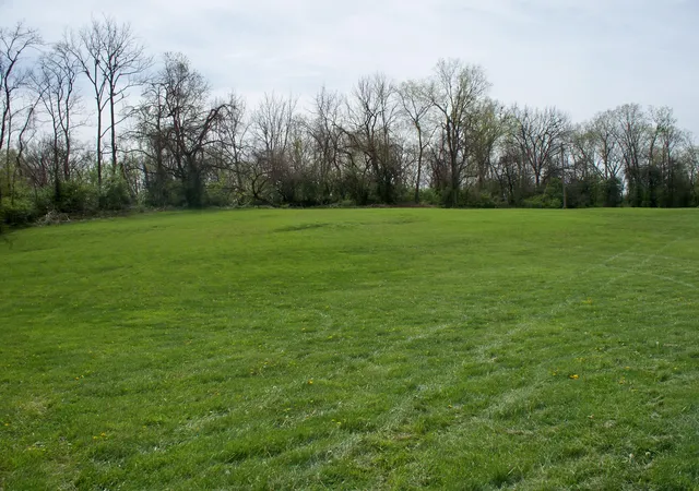 4th image of 305 Kentucky Ave, Versailles, KY 40383 | MLS# 22017401