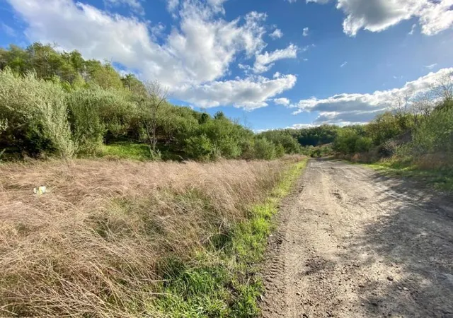 Photo 3 of Land for sale at 0 Freeman Frk Rd, Buckhorn, KY 41721 | MLS# 25000099 | Listing updated on 2026-03-09