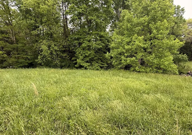 Photo 2 of Land for sale at 9999 Warm Springs Dr, London, KY 40744 | MLS# 25009385 | Listing updated on 2025-11-11