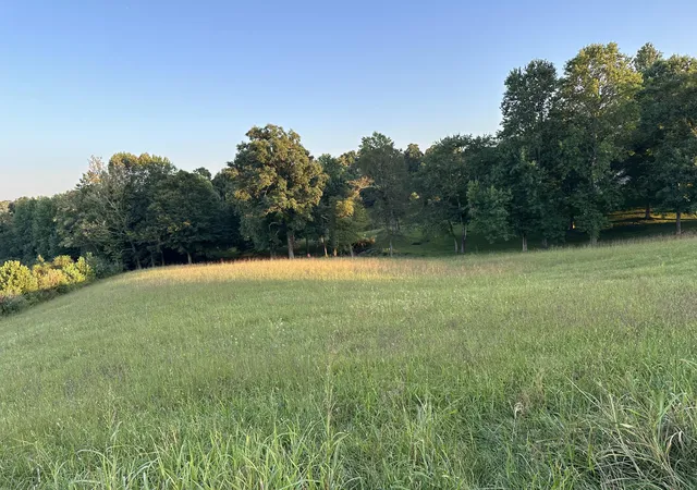 Photo 4 of Land for sale at 30,31,32 Remington Dr, Russell Springs, KY 42642 | MLS# 24017911 | Listing updated on 2025-09-27