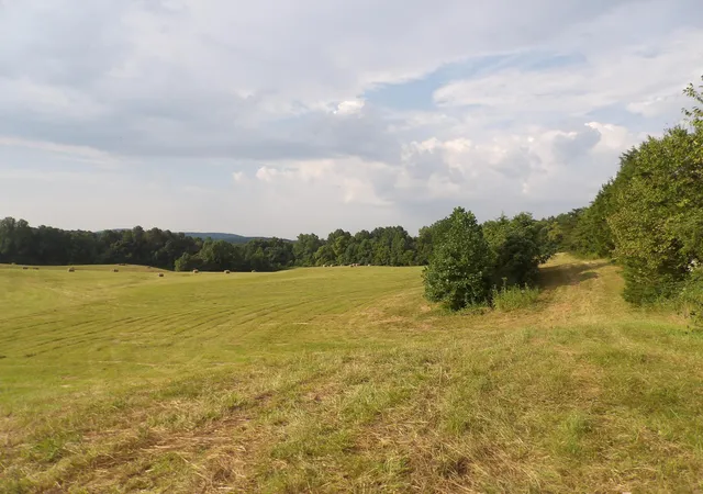 Photo 2 of House for sale at 371 Dug Road Road, Monticello, KY 42633 | MLS# 24017677 | Listing updated on 2026-09-30
