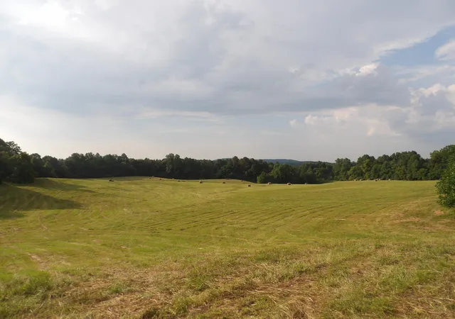 Photo 3 of House for sale at 371 Dug Road Road, Monticello, KY 42633 | MLS# 24017677 | Listing updated on 2026-09-30
