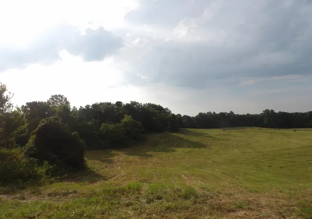 Photo 4 of House for sale at 371 Dug Road Road, Monticello, KY 42633 | MLS# 24017677 | Listing updated on 2026-09-30