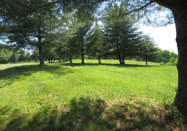 Photo 3 of Land for sale at 9999 Lot 77 Parks Ridge Rd, Russell Springs, KY 42642 | MLS# 24009679 | Listing updated on 2025-09-26