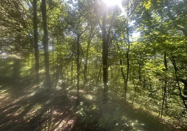 Photo 2 of Land for sale at Lot 24 Rock Springs Rd, Celina, TN 38551 | MLS# 25014632 | Listing updated on 2025-09-12