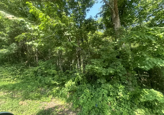 Homes for sale in Celina, TN | 2 Acres Holly Creek Rd, Celina, TN 38551 | MLS# 25014628