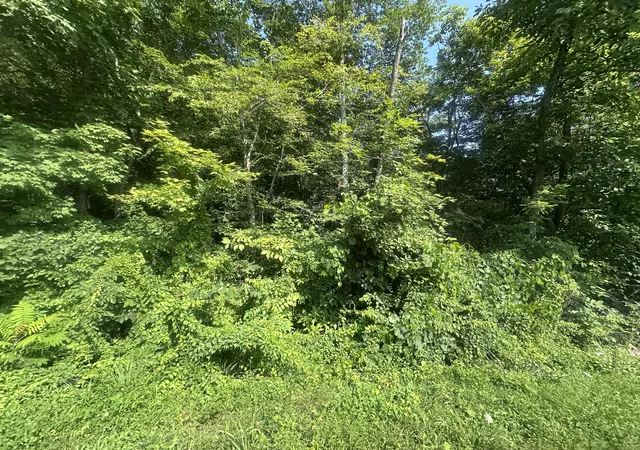 Homes for sale in Celina, TN | 2 Acres Holly Creek Rd, Celina, TN 38551 | MLS# 25014628