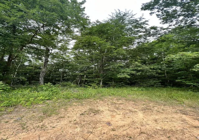 3rd image of 9999 Proffitt Rd, Manchester, KY 40962 | MLS# 24000055