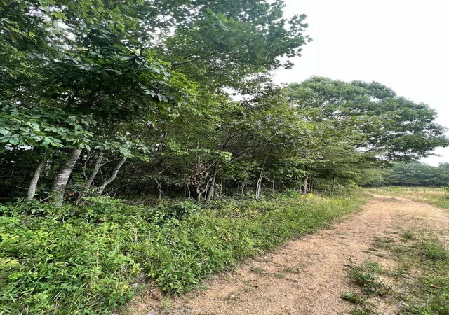 4th image of 9999 Proffitt Rd, Manchester, KY 40962 | MLS# 24000055