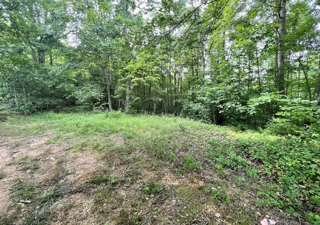 5th image of 9999 Proffitt Rd, Manchester, KY 40962 | MLS# 24000055