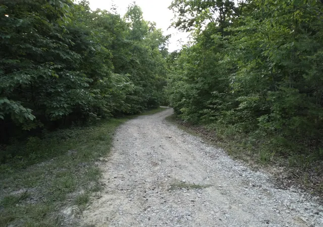 Photo 3 of Land for sale at 1237e High Rock Rd, Stanton, KY 40380 | MLS# 24005411 | Listing updated on 2026-06-27