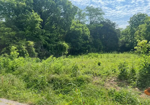 Homes for sale in Celina, TN | Lot 26 Rock Springs Rd, Celina, TN 38551 | MLS# 25014633